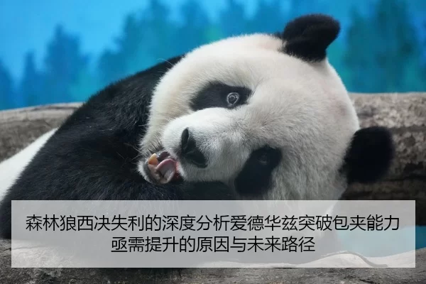 森林狼西决失利的深度分析爱德华兹突破包夹能力亟需提升的原因与未来路径