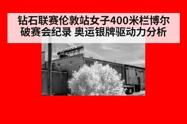 钻石联赛伦敦站女子400米栏博尔破赛会纪录 奥运银牌驱动力分析